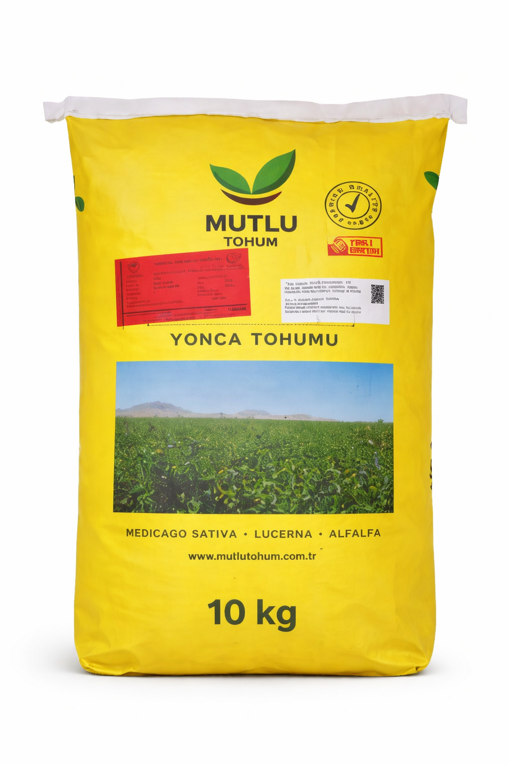 Семена турска люцерна Sunter — Medicago sativa